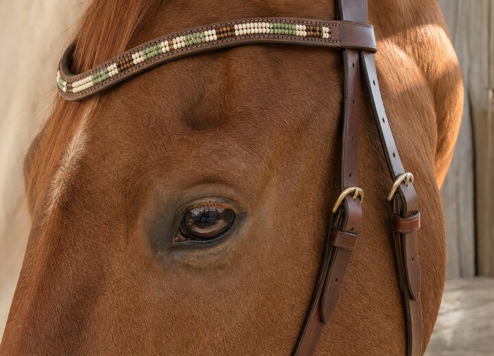 Bijoux cheval